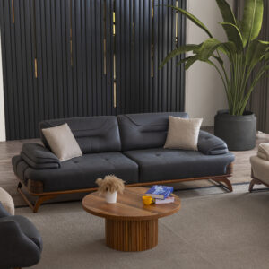 Asos Koltuk Takımı1 - Image 3