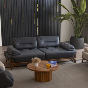 Asos Koltuk Takımı1 - Image 4