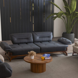 Asos Koltuk Takımı1 - Image 5