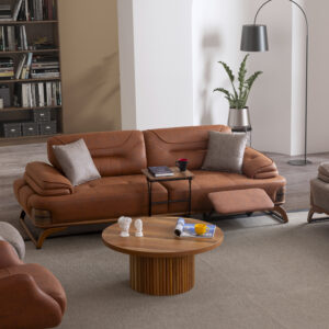 Asos Koltuk Takımı3 - Image 3